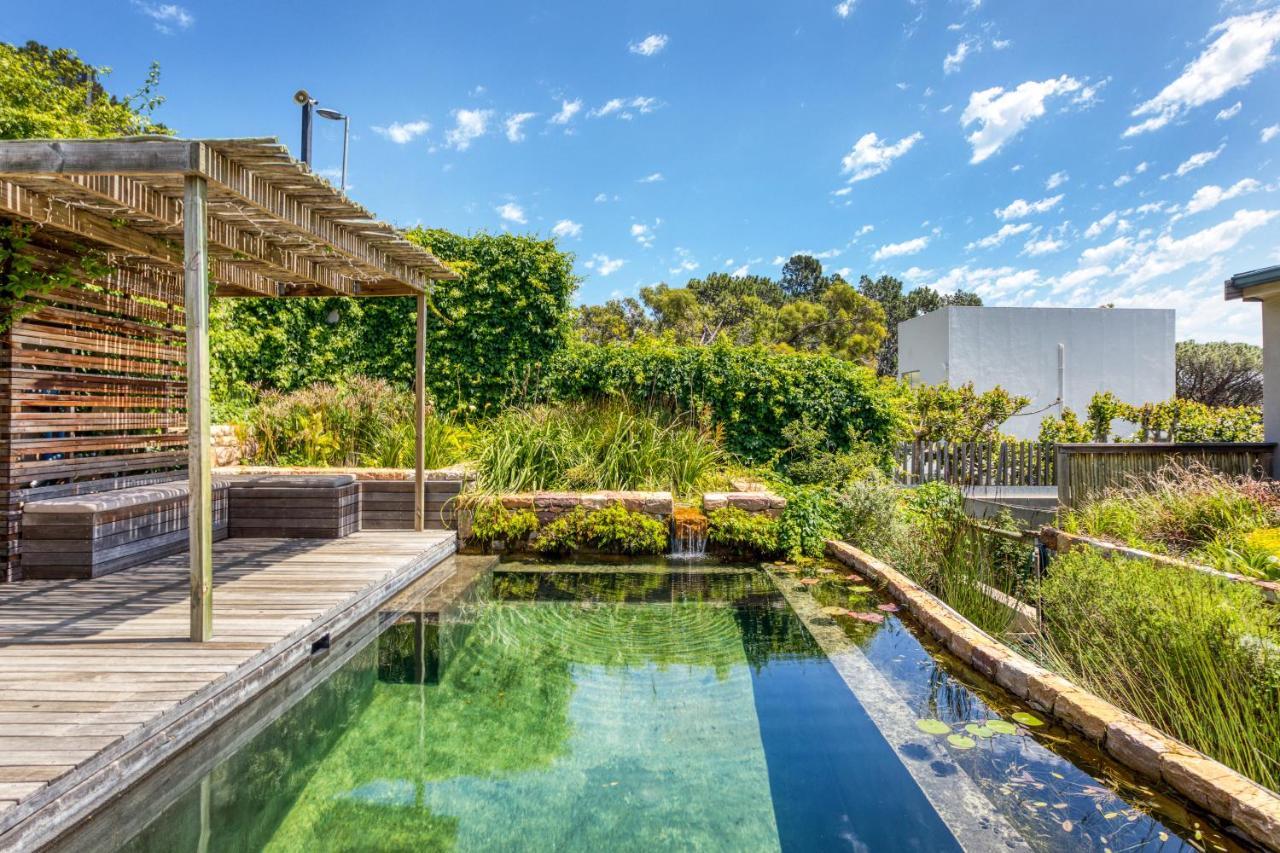 קייפטאון Solar-Powered Mountain Retreat With Natural Pool מראה חיצוני תמונה